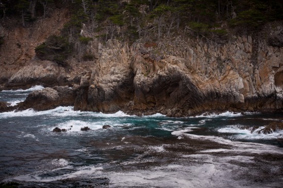 Point Lobos