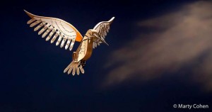 Flying Bird at the Skirball