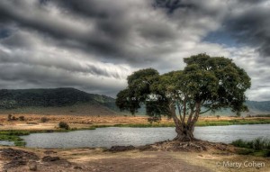 Ngorongoro Crater Watering Hole