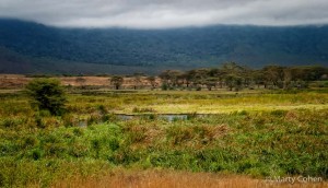 Ngorongoro Crater Landscape