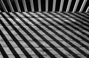 Pickets and Shadows