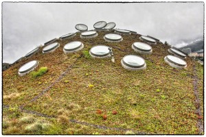 The Living Roof