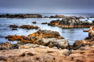 Asilomar Beach 1 Color