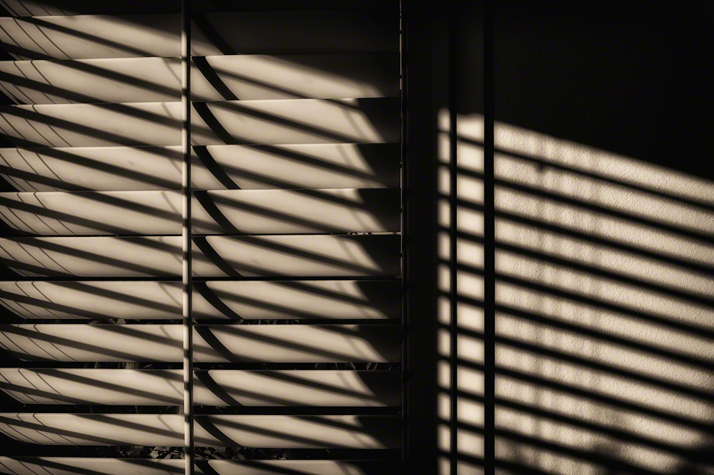 Shadows and Lines