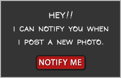 Be notified of new photos