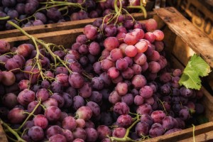Grapes at the Roadside Marketplace