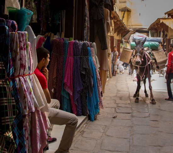 Mule in the Medina