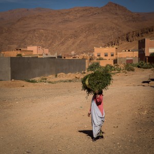 Carrying Crops