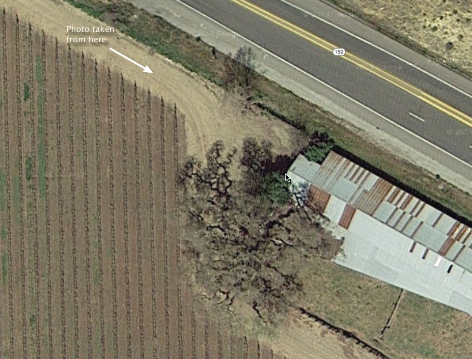 Google Map View California Oak Tree and Old Barn