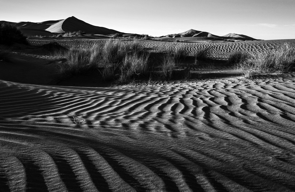The wind sculpts the Sahara Desert sand into infinite patterns.