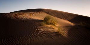 Light On the Sahara