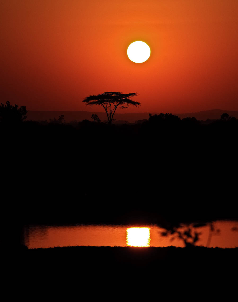 Sunrise at Sweetwaters (Kenya)