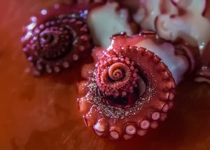 Octopus