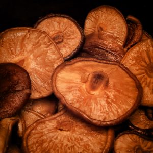Shitake