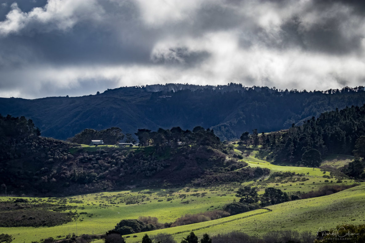 Fish Ranch - Palo Corona Ranch Carmel California