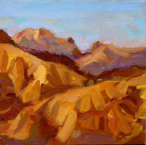 Ventana Double Cone, Big Sur