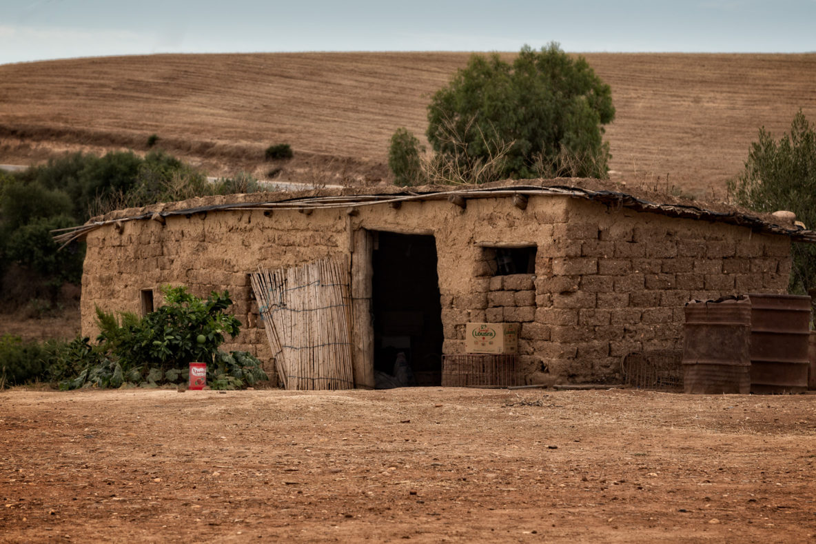 Home (On the road to Meknes, Morocco)