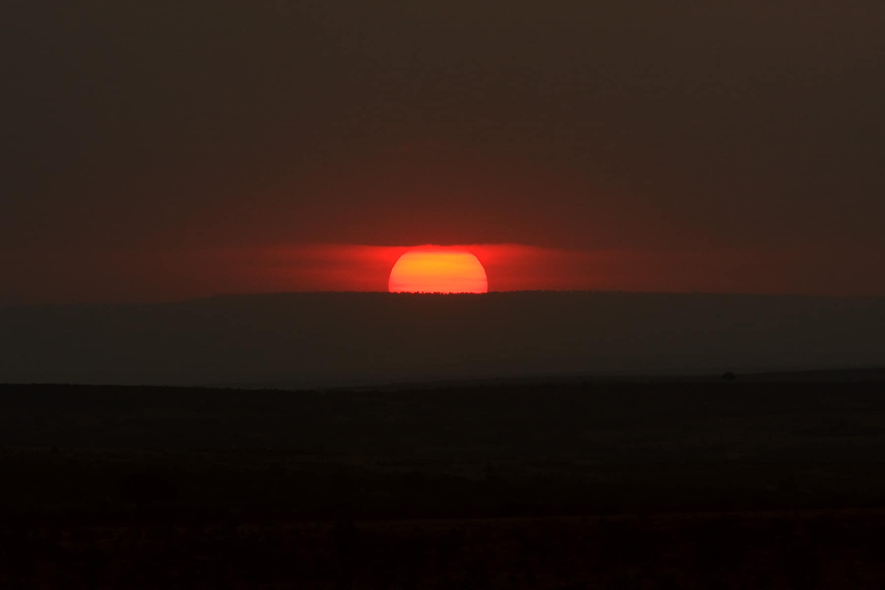 Sunset on the Masai Mara (Kenya)