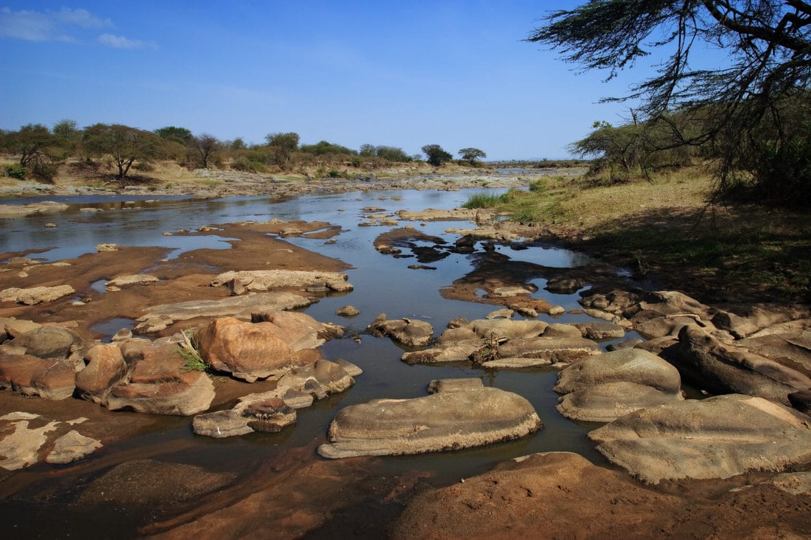 The Mara River (Serengeti National Park, Tanzania)