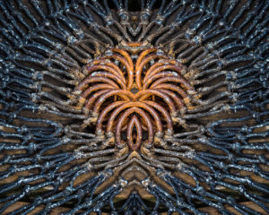 Blue Cord and Rusty Chain
